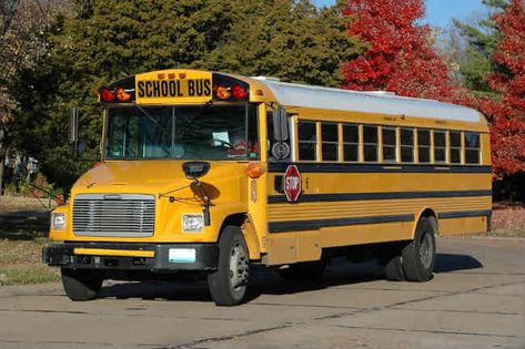 Kids Shed, Bus Sekolah, Family Faces, Bus School, Three Siblings, Yellow School Bus, Army Truck, School Bus Driver, Wheels On The Bus