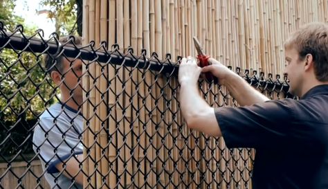 How can you cover up your ugly chain-link fence? Here are several ideas that help you retain it but make it look more beautiful and increase your privacy. Chain Link Fence Cover, Chain Link Fence Privacy, Diy Privacy Screen, Bamboo Screening, Privacy Fence Designs, Cheap Backyard, Fence Slats, Fence Screening, Backyard Privacy