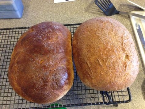 Artisan Rye Bread Recipe, Seeded Rye Bread Recipe, Swedish Rye Bread Recipe, Swedish Rye Bread, Artesian Bread, Homemade Rye Bread, Rye Bread Recipe, Caveman Diet Recipes, Seeded Bread Recipes