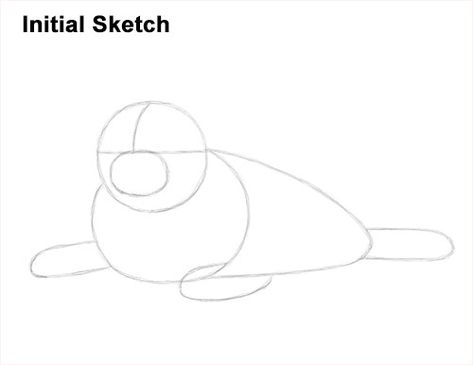 Draw a White Harp Seal Pup Initial Sketch Harp Seal Pup, Baby Harp Seal, Graphic Novel Illustration, Polar Bear Art, Drawing Instructions, Harp Seal, Vbs 2024, Seal Pup, Drawing Animals