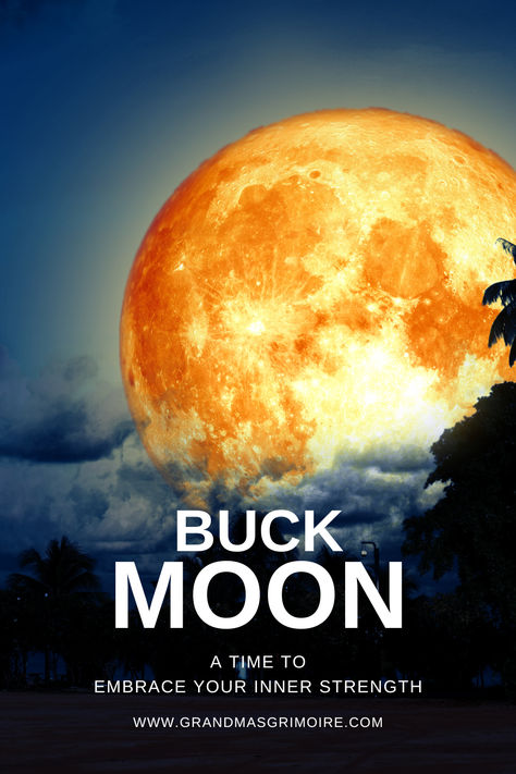 The Buck Moon: An Invitation to Embrace Your Inner Strength Moon Capricorn, Buck Moon, Thunder Moon, Male Deer, Next Full Moon, Moon Spells, Magic Moon, Capricorn Moon, Full Moon Ritual