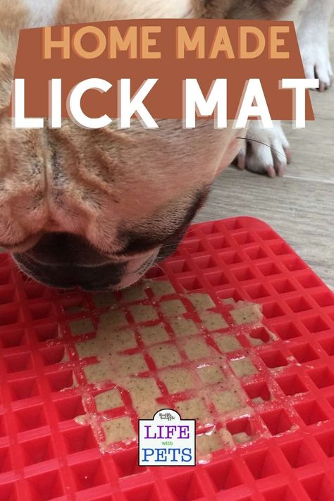 Dog Lick Mat, Dog Boredom Buster, Dog Boredom, Easy Dog Treats, Diy Dog Toys, Dog Enrichment, Dog Games, Dog Puzzles, Dog Bath