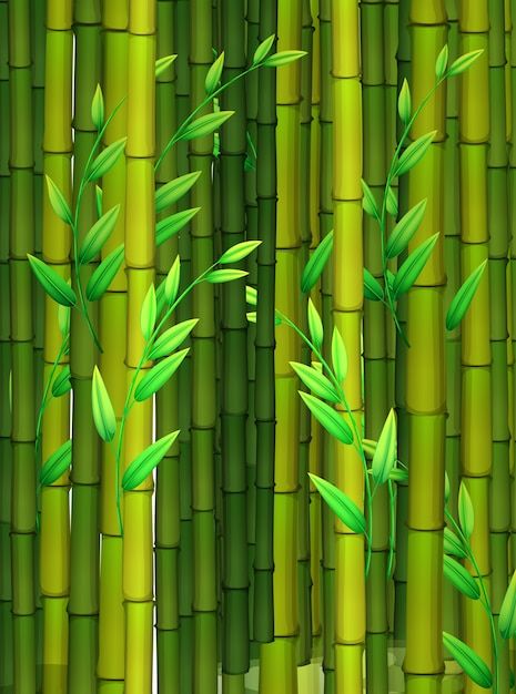 Vector seamless background with green ba... | Premium Vector #Freepik #vector #art #svg #cartoon-drawing #cartoon-svg Cartoon Bamboo, Bamboo Clip Art, Bamboo Wallpaper Backgrounds, Bamboo Leaf Illustration, Bamboo Forest Illustration, Seamless Background, Graphic Editing, Green Backgrounds, Graphic Resources