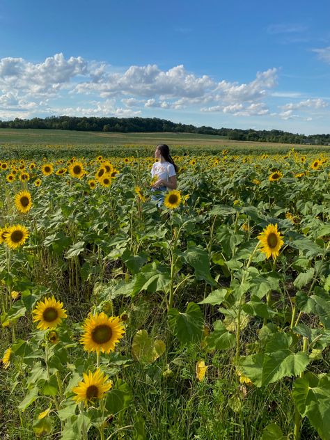 august summer day at the sunflower feilds farm. aesthetic inspo sunny sun sunset sunflower flower feild feilds summer august outfit inspo hair inspo brunette half up hair style #summer #august #sunflower #sunflowerfeild #farm #aesthetic #vibes #sunny #sun #happy Happy Sunny Day Aesthetic, August Sunflower, Hair Inspo Brunette, Sunset Sunflower, Farm Aesthetic, Sunflower Season, Summer August, August Summer, Inspo Hair