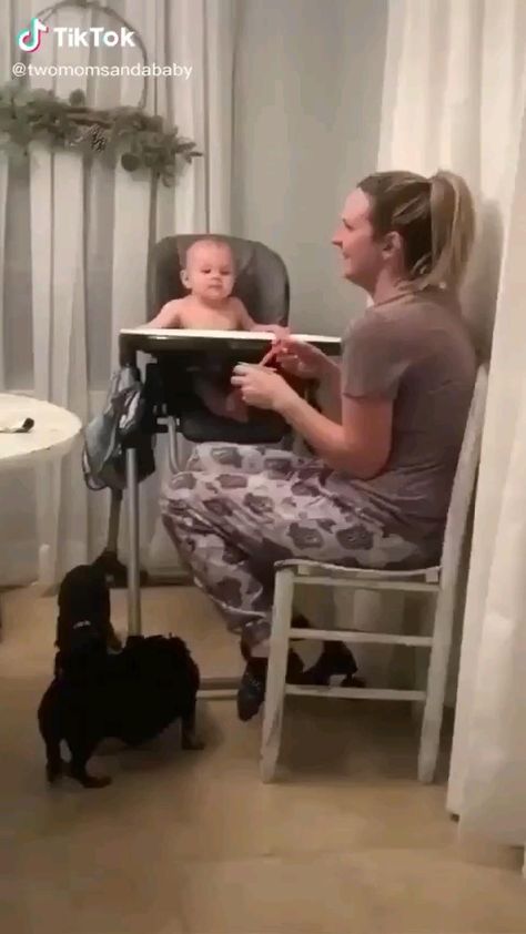 Funny Baby Memes, Baby Chair, Baby Memes, Cute Funny Babies, Funny Video Memes, Baby Videos, Funny Video, Funny Baby