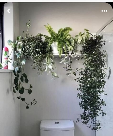 Hanging Plants Against Wall, Plants Above Bathroom Mirror, Wall Planter Bathroom, Shower With Plants Inside, Bathroom Plant Wall, Bathroom Plants No Sunlight, Bathroom Plants Decor, Indoor Plant Wall, Hanging Plant Wall