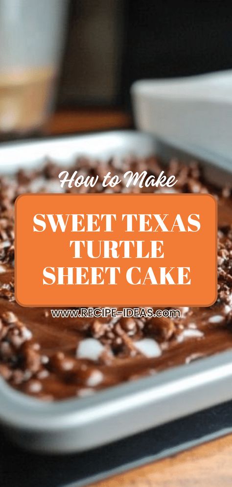 Delicious Sweet Texas Turtle Sheet Cake topped with caramel and pecans. Perfect for chocolate lovers, using 1 image. Texas Sheet Cake Box Recipe, Old Fashioned Texas Sheet Cake, Turtle Texas Sheet Cake Recipe, Chocolate Sheet Cake Texas, Turtle Cake Recipe Easy, Easy Texas Sheet Cake Recipe, Chocolate Texas Sheet Cake Recipe, Texas Brownies, Turtle Sheet Cake Recipe