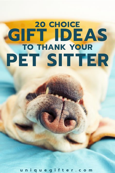 Thank You Gifts for Pet Sitters | Pet Sitting | Thank Yous | Appreciation | Dog Walker | Dog Walking | Christmas Presents Pet Sitter Gift Ideas, Dog Sitter Gift Ideas, Thankful For Pets Quotes, Gifts For Cat Owners, Dog Trainer Thank You Gift, Pet Sitter Instructions, Dog Sitter Gift, Pet Sitter Gifts, Dog Walker Gift