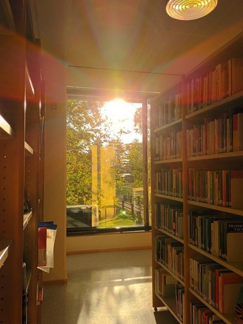 sunny day at library Sunny Library Aesthetic, Sunny Studying Aesthetic, Sunny Fall Aesthetic, Day Aesthetic Sunny, Sunny Library, Sunny Days Aesthetic, Brenna Core, Sunny Core, Spring Homescreen