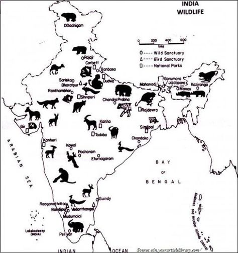 Geography - Quick Guide Wild Sheep, Economics Notes, Spotted Deer, Wildlife Of India, Geography Project, Indian Animals, Ancient Indian History, Black Soil, Essay About Life