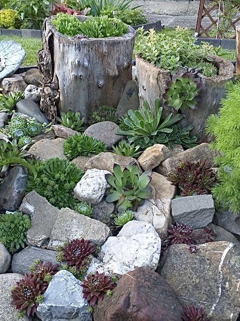 Succulent Rock Garden, Rockery Garden, Succulent Garden Landscape, River Rock Garden, Succulent Garden Design, Rock Garden Design, Succulent Garden Diy, Gravel Garden, Easy Landscaping