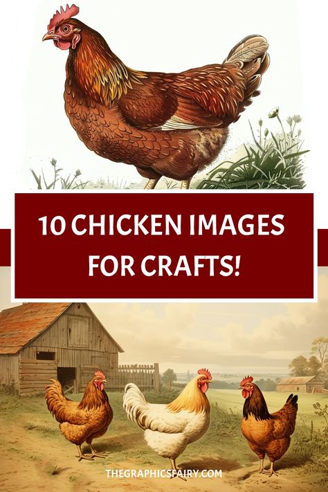 These are some fun Free Vintage Chicken Images! Great for Farmhouse crafts, Country Style Junk Journals and DIY. Chicken Clipart, Chicken Images, Free Stencils Printables, Farm Animal Crafts, Vintage Chicken, Chicken Pictures, Decoupage Tutorial, Free Printable Crafts, Chicken Crafts