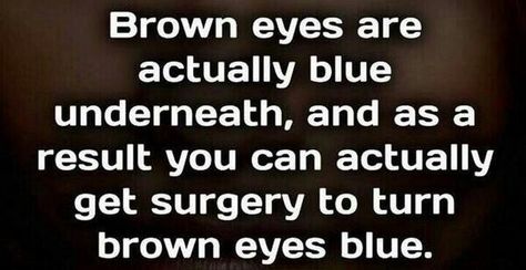 Wow Brown Eyes Facts, Eyes Facts, Medical Reference, Eye Facts, Behind Blue Eyes, Facts You Didnt Know, Bizarre Facts, Journal Books, Crazy Facts