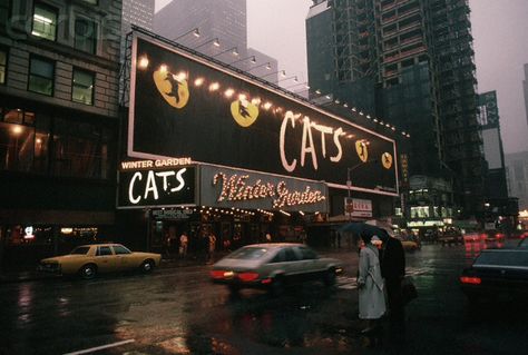 Broadway marquee Cats Winter Garden Theatre Cats The Musical, Musical London, Jellicle Cats, Winter Garden Theatre, Broadway Plays, Cats Musical, Broadway Theatre, The Great White, Cat Memorial