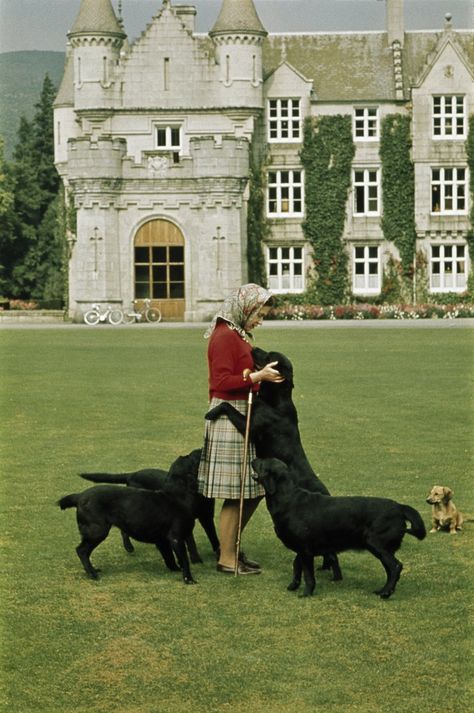 The queen Balmoral Castle, Elizabeth Queen, Rainha Elizabeth Ii, Queen Elisabeth, Reine Elizabeth Ii, Hm The Queen, English Royalty, Elisabeth Ii, God Save The Queen