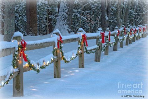 Split Rail Fence Christmas Decor, Christmas Fence Decorating Ideas, Split Rail Fence, Country Fences, Diy Camper Remodel, Christmas Pics, Rail Fence, Country Christmas Decorations, Fence Decor