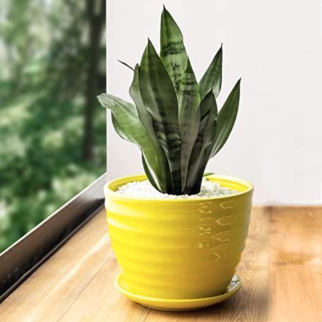 MyGift 7 Inch Round Modern Ribbed Design Yellow Ceramic Home Garden Flower Planter Pot, Indoor Nursery Plant Container with Drainage Hole and Removable Saucer Yellow Planter, Garden Planters Pots, Ceramic Succulent Planter, Ceramic Flower Pot, Ceramic Home, Ceramic Planter Pots, Ceramic Succulent, Flower Pot Garden, Yellow Ceramics