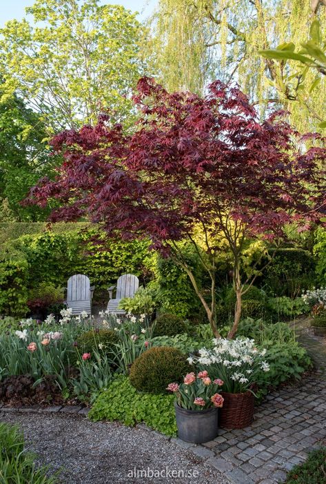 Backyard Gazebo Outdoor Pavilion, English Garden Backyard, English Garden Style, Outdoor Pavilion, Backyard Gazebo, Outdoor Gardens Design, Love Garden, Garden Oasis, Garden Landscape Design