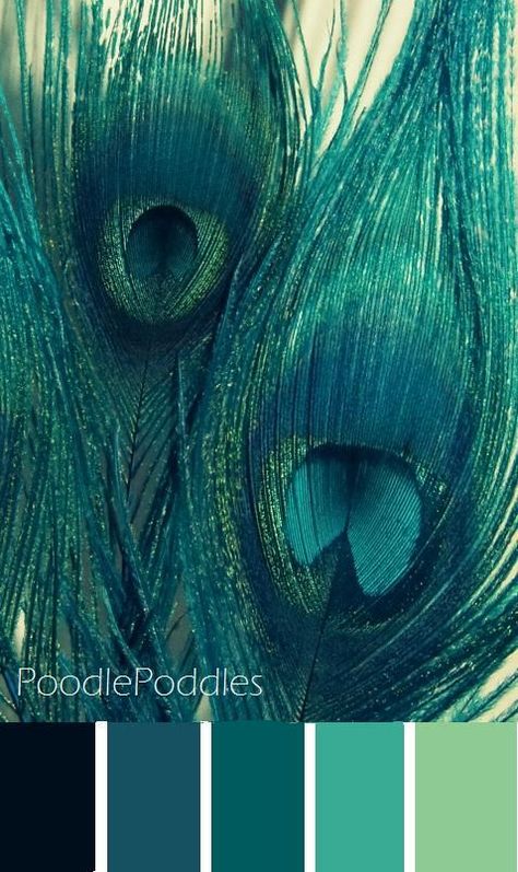 Peacock colors Frida Art, Peacock Color, Aqua Turquoise, Peacock Feathers, Colour Schemes, Color Pallets, Green And Blue, Bird Feathers, Colour Palette