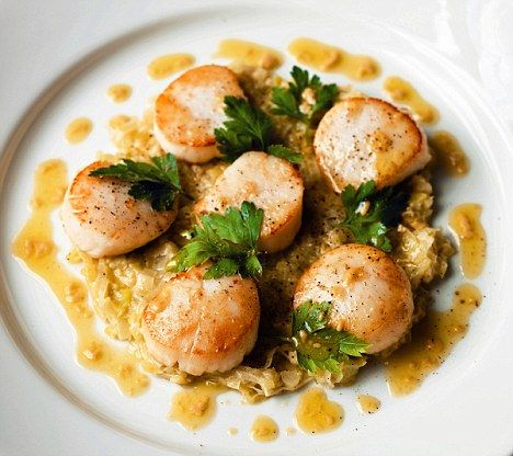 Scallops with virgin olive oil and leak vinaigrette (Gordon Ramsay) Pan Fried Scallops, Chef Ramsey, Gordon Ramsey Recipes, Fried Scallops, Gordon Ramsay Recipe, Chef Gordon Ramsay, Diner Recept, Scallop Recipes, Gordon Ramsay