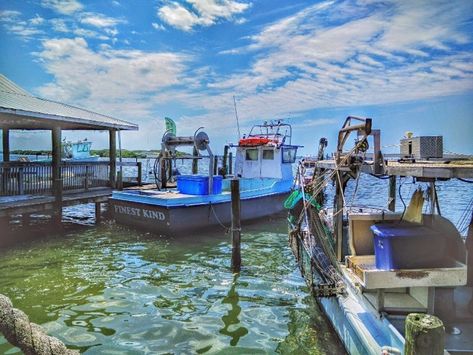 8 Experiences in Florida Every Foodie Must Have At Least Once – Trips To Discover Cortez Florida, Commercial Fishing, Places In Florida, Kissimmee Florida, Days In February, Clearwater Florida, Sanibel Island, Old Florida, Sarasota Florida