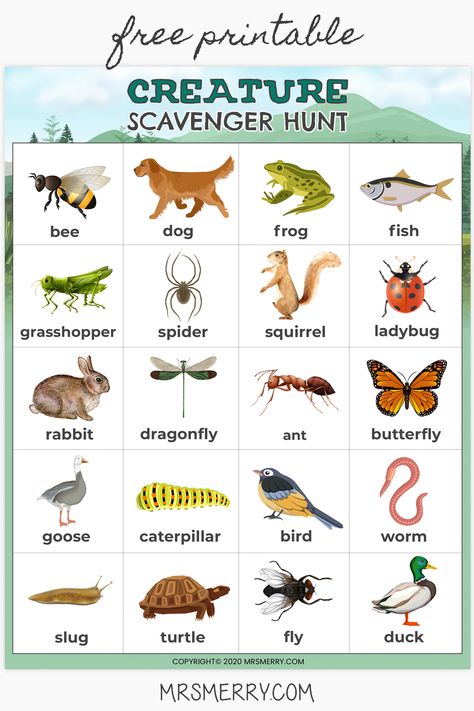 Get outside and search for these 20 little critters. A great activity to take to the park and explore. Free printable for kids. #scavengerhuntideasforkidsoutdoor #outdoorkidactivities #scavengerhuntideasforkids #animalscavengerhunt #insectscavengerhunt #bugscavengerhunt #creaturescavengerhunt #naturescavengerhunt #thingstodooutsidewithkids #parkactivitiesforkids #parkactivitiesforkidsoutdoorgames Animal Scavenger Hunt, Reggio Kindergarten, Scavenger Animals, Outside Activities For Kids, Teacch Tasks, Park Activities, Animal Activities For Kids, Scavenger Hunt Printable, Nature Hunt