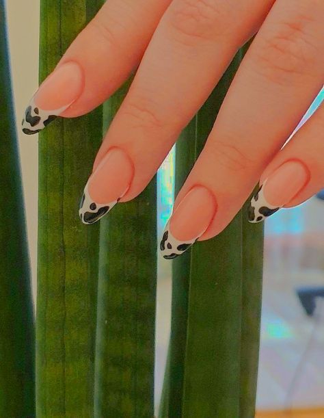 Cow Nails, Edgy Nails, Summer Acrylic Nails, Neutral Nails, Minimalist Nails, Fire Nails, Dream Nails, Funky Nails, Pretty Acrylic Nails