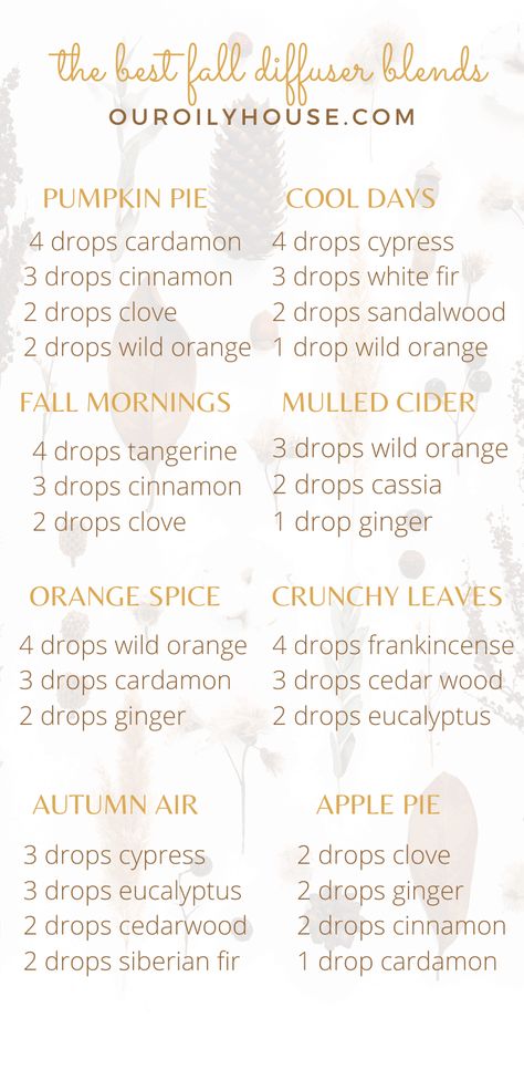 Diffuser Blends For Fall, Diffuser Scents, Fall Essential Oil Blends, Fall Essential Oils, Fall Diffuser Blends, Essential Oil Diffuser Blends Recipes, Mulled Cider, Clove Essential Oil, Yl Oils