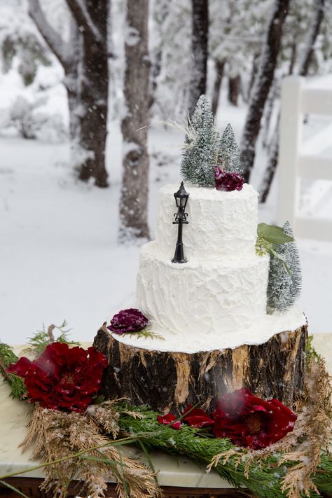 Lapland Wedding, Narnia Cake, Narnia Wedding, Narnia Christmas, Narnia Birthday, Narnia Party, Christmas Wedding Cakes, Winter Wedding Planning, Love Cake Topper