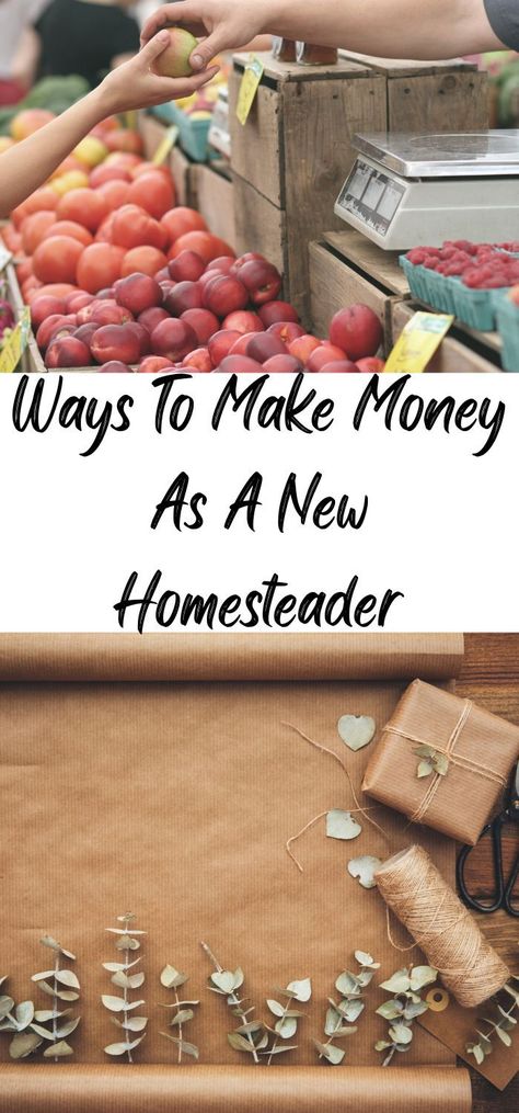 There are plenty of ways to make money on a homestead that DON'T include content creation. In fact, I would say there are a ton of different ways to make money as a new homesteader. You just have to figure out what works for you, your family and your homestead Making Money From Homestead, Small Farm, Ways To Make Money, Growing Food, Money From Home, Content Creation, Make Money From Home, Making Money, Way To Make Money