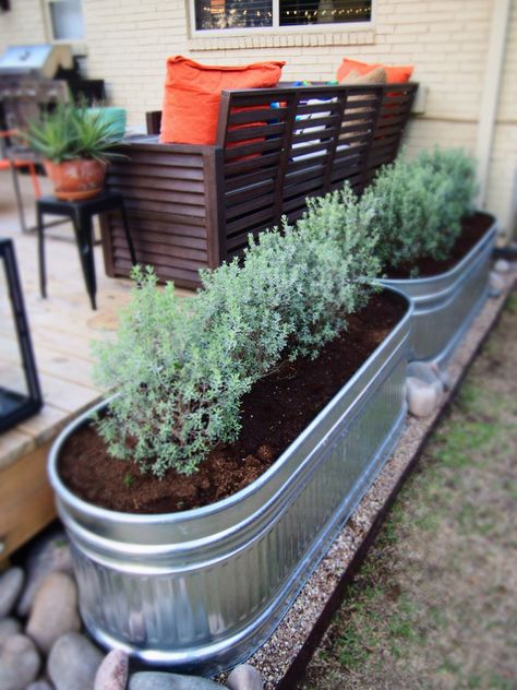 Container Gardening Landscape Front Yards, Trough Planter Ideas, Stock Tank Gardening, Honey House, Horse Trough, Garden Troughs, Trough Planter, Galvanized Planters, Landscape Inspiration