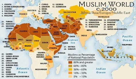 The spread of Islam Interesting Maps, Islamic Countries, History Of Islam, I'm Sick, Muslim Countries, Info Graphic, And So It Begins, Construction Design, Historical Maps