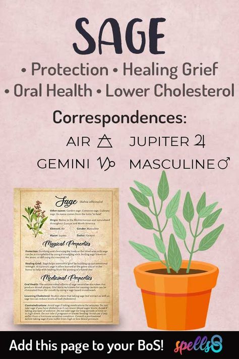 Spiritual Properties of Sage and its uses in Witchcraft. Learn the Elemental Correspondences of Herbs such as Sage and its Astrological and Magical correspondences. The spiritual meaning of this plant is healing and protection. Watch this video lesson!  Magical properties of Sage, its uses in healing, Kitchen Magic and all the magickal benefits of Sage in spells, astrology, and witchcraft. Full Moon Prayer, Herb Meanings, Moon Prayer, Wicca Herbs, Witchcraft Herbs, Kitchen Witch Recipes, Next Full Moon, Magickal Herbs, Witch Herbs