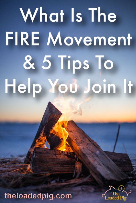 Fire Movement Tips, Fire Movement, Investing For Retirement, Cut Expenses, How To Make Dough, Retirement Savings, Financial Independence Retire Early, Wealth Creation, Earn Extra Money