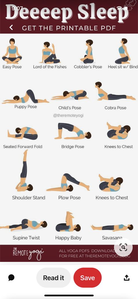 Sport Challenge, Daily Yoga Routine, Yoga Flow Sequence, Yoga Routines, Evening Yoga, Evening Workout, Puppy Pose, Yoga Routine For Beginners, Yoga Beginners