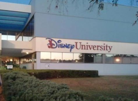 good old DU Disney Internship, Disney University, Military Engineering, Disney College, Disney College Program, Fall Semester, Engineering Projects, Disney Aesthetic, Future Career