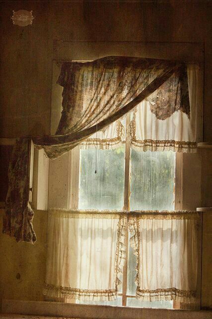 An Open Window, Ivy House, Beautiful Windows, Old Windows, Lace Curtains, Linens And Lace, Window Dressings, Window View, Open Window