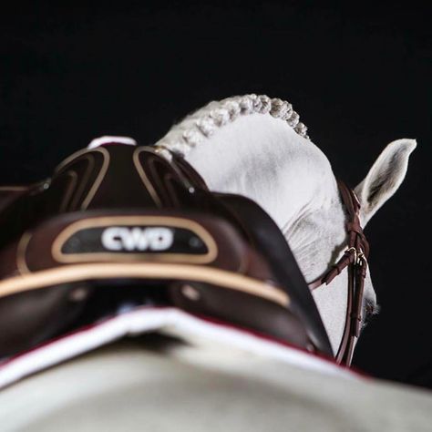 FEI World Cup: Here we are! Welcome to a world of performance. ⚡️ (at FEI World Cup Omaha) Cwd Saddle, Truman Black, Horse Outfits, Horses Tack, Equestrian Tack, Horse Riding Gear, Horsey Life, Horse Shop, Equestrian Aesthetic