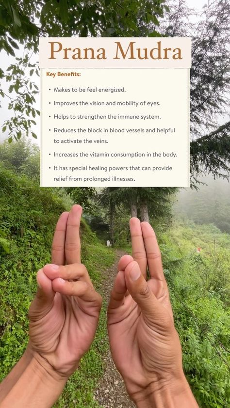 Key Benefits of Doing Prana Mudra 🙏🏼: • Makes to be feel energized. • Improves the vision and mobility of eyes. • Helps to strengthen the immune system. • Reduces the block in blood vessels and helpful to activate the veins. • Increases the vitamin consumption in the body. • It has special healing powers that can provide relief from prolonged illnesses. . #EnergizeAndThrive #ImprovedVisionAndMobility #BoostImmunity #HealthyBloodFlow #VitaminBoost #HealingPowers #ReliefFromIllnesses #meditative Prana Mudra, Your Body Is A Temple, Hand Reflexology, Feel Energized, Vision Eye, Body Is A Temple, The Immune System, Reflexology, Spiritual Practices