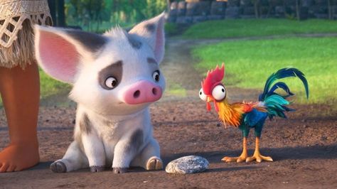 Hei Hei Moana, Moana 2016, Disney Sidekicks, Disney Princess Facts, Disney Sleeve, Moana Disney, Disney Characters Wallpaper, Disney Icons, Images Disney