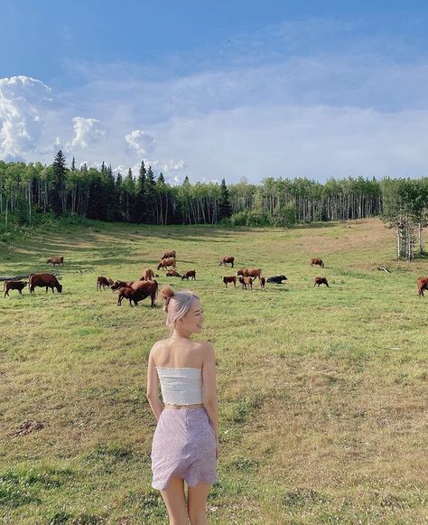 Pasture Photoshoot, Photoshoot With Cows, Cows Grazing, Cow Pasture, Green Pasture, Grad Pics, Golden Hour, Senior Pictures, Follow For More