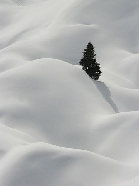 tree top, poking out of deep snow. La Plagne, French Alps by David Sadler on Flickr Winter Mosaic, Snow Landscape, Snow Falling, Winter Szenen, Lone Tree, French Alps, Winter Magic, Winter Beauty, Snow Scenes