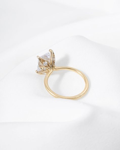 Diamonds Direct | Hidden details have always been a popular element in engagement ring settings. We’re obsessed with this hidden floral-inspired gallery on… | Instagram Gem Stone Engagement Ring, Diamonds Direct, Ring Settings, Stone Engagement Ring, Stone Engagement, Fantasy Jewelry, Hidden Gem, Gem Stone, Engagement Ring Settings