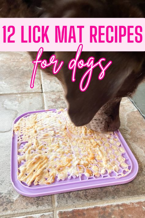 12 Lick Mat Recipes For Dogs Lick Mat Recipes, Pumpkin Recipes For Dogs, Ice Cream For Dogs, Baby Treats, Recipes For Dogs, Foods Dogs Can Eat, Pet Treats Recipes, Easy Dog Treat Recipes, Frozen Dog Treats