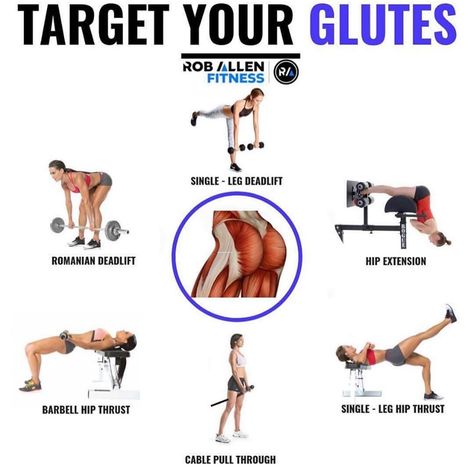 Rob Allen on Instagram: “💥Glute Exercises💥 . Follow @roballenfitness for more fitness/nutrition info 🍑 . What’s your favourite Glute Exercise? . Here are some…” Glute Workout Beginner, Workout Beginner Gym, Arching Your Back, Open Your Hips, Best Bodyweight Exercises, Beginner Gym, Glute Exercise, Single Leg Hip Thrust, Back Workout Routine