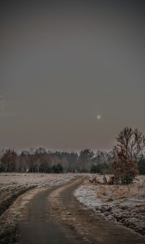 Renata Piskorska Autumn Autumn Rituals, Ancient Soul, Autumn Snow, Autumn Moodboard, Blue Harvest, Samhain Halloween, Dirt Roads, Late November, Late Autumn