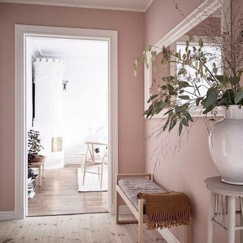 Pink Living Room Decor, Pink Living Room, Hal Decor, Aesthetic Rooms, Pink Walls, Hallway Decorating, Wall Color, Room Colors, Aesthetic Room Decor