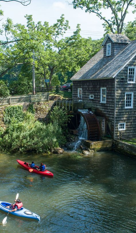 New York Long Island, Paddle Board Yoga, Small Cooler, Stony Brook, Long Island New York, Rental Company, Sit Back, Paddle Boarding, Yoga Class