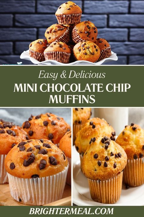 Chocolate Chip Mini Muffins Easy, Chocolate Chip Muffin Mix Recipes, Mini Chocolate Chip Muffins Healthy, Simple Chocolate Chip Muffin Recipe, Simple Chocolate Chip Muffins, Mini Chocolate Cupcake Recipe, Choclate Chip Muffins, Easy Chocolate Chip Muffins, Ghirardelli Chocolate Chip Cookies