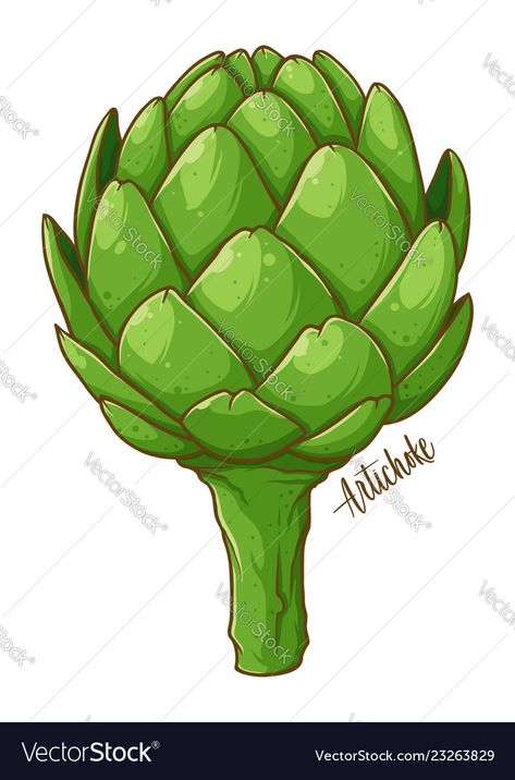 Artichoke Drawing, Artichoke Illustration, Solsbury Hill, Artichoke Art, Flower Border Clipart, Drawing Vector, Gouache Art, Hand Drawn Vector Illustrations, Clip Art Borders